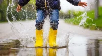 BC Wet Coast Weather Reminder. Parents please ensure your child/ren have weather appropriate clothing as at recess and lunch all students go outside – rain or shine or snow. To […]