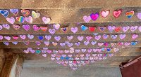 This year to recognise Pink Shirt Day, each student at Douglas Road decorated a pink heart. The hearts were given designs to represent the kindness we want to show and […]